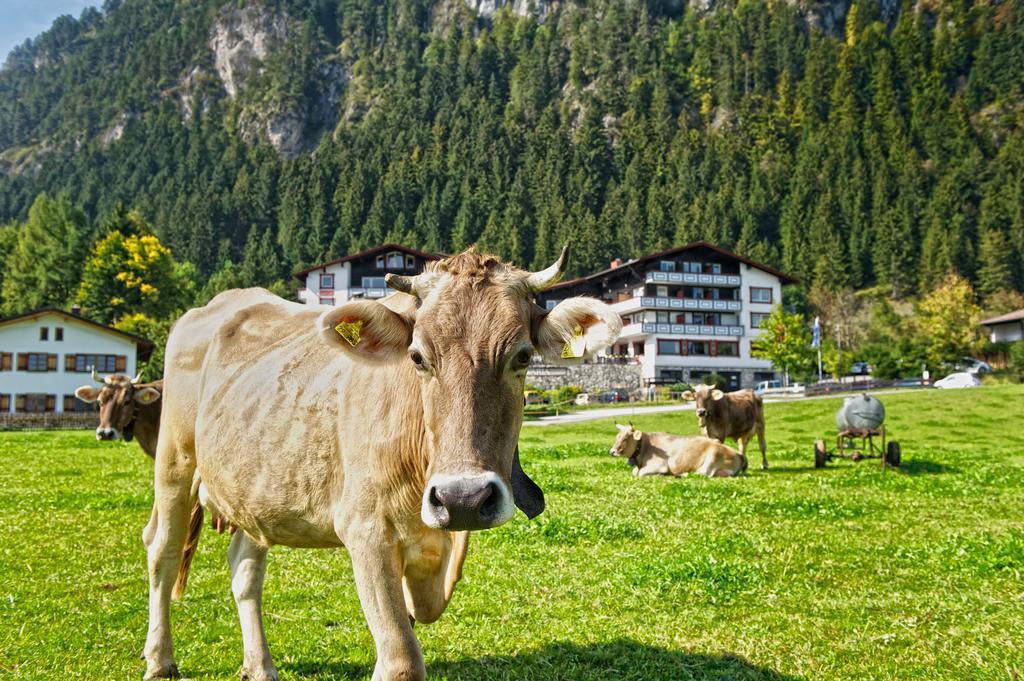 Familotel Bavaria Pfronten-Familien Hotel-Alles Inklusive Konzept Bagian luar foto